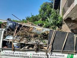 Best Hoarding Cleanup  in Norman, OK